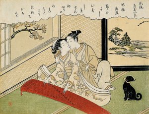 Ganzen dalen neer op de koto-bruggen (Kotoji rakugan)